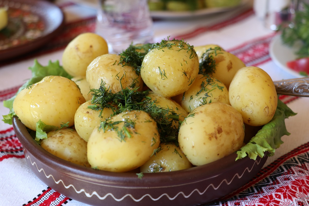 Russian Dumplings and More: Comfort Food Classics to Try Today